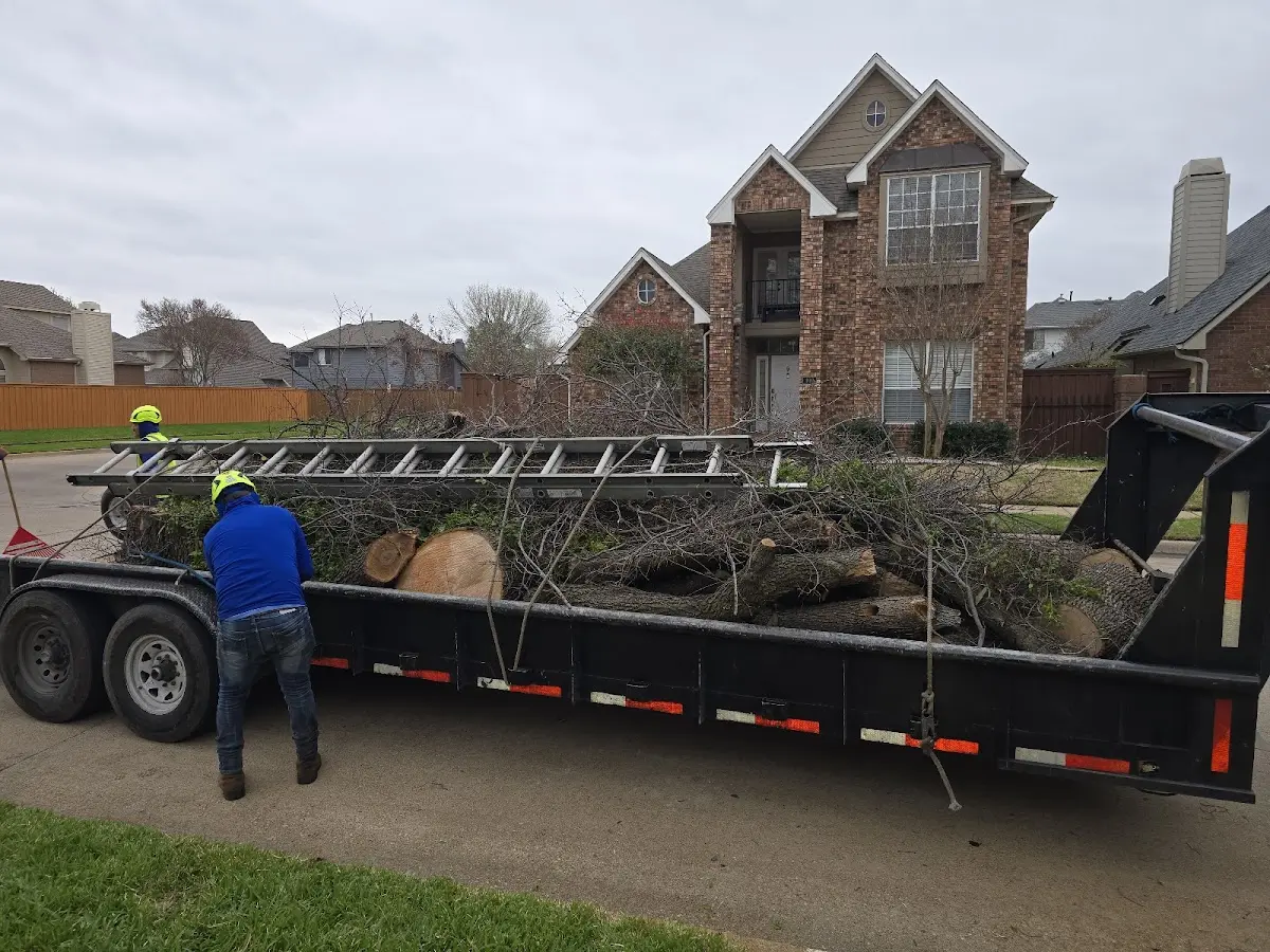 Expert Tree Removal with proper safety equipment in Gate City